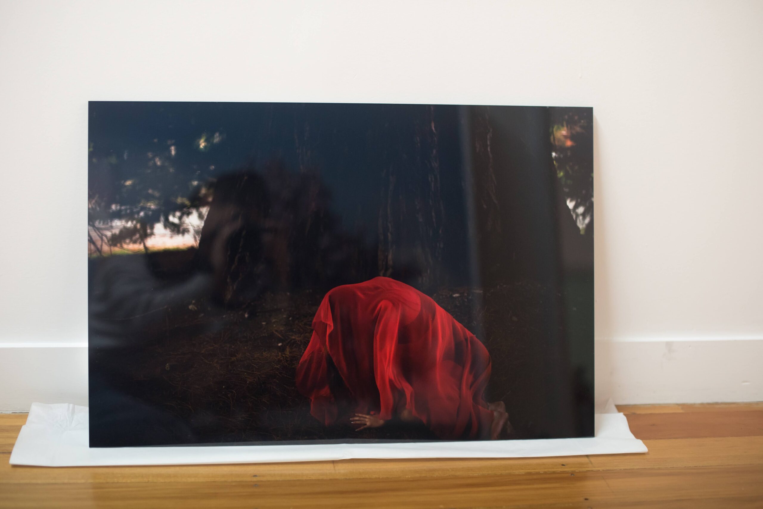 Fine Art Image in Wanaka Forrest of moody Mythical Spirit